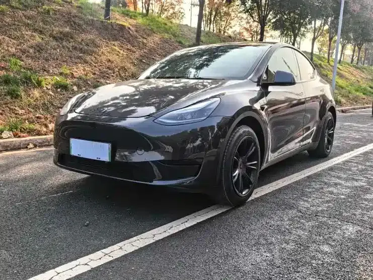 Tesla Model Y — фото 1