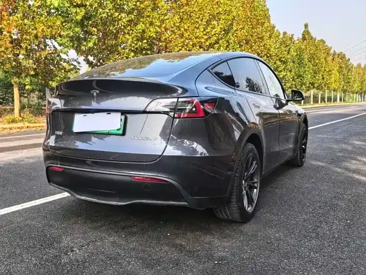 Tesla Model Y — фото 9