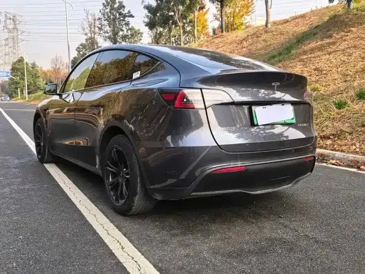 Tesla Model Y — фото 5