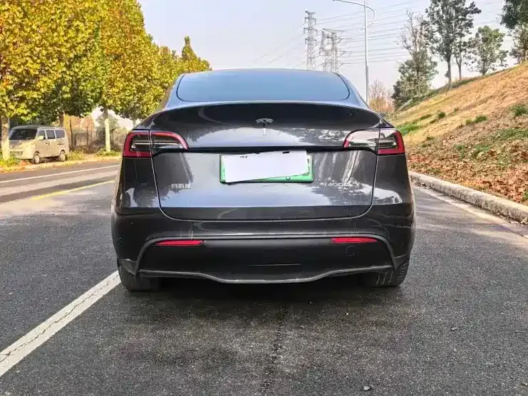 Tesla Model Y — фото 6