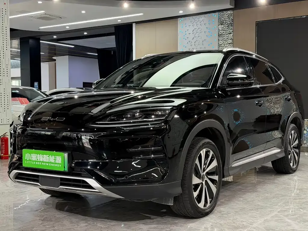 BYD PLUS New Energy — фото 1