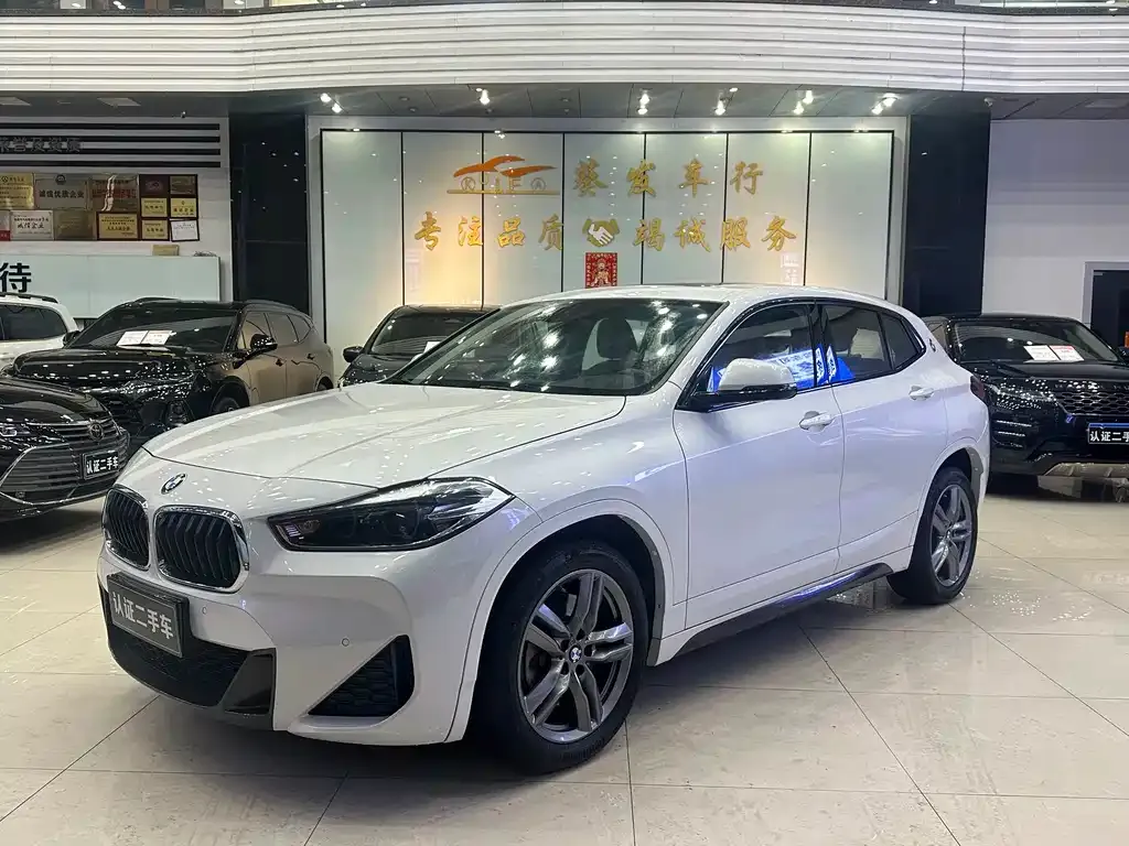 BMW X2 — фото 1
