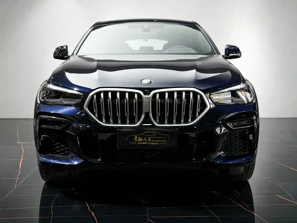 BMW X6 — фото 1
