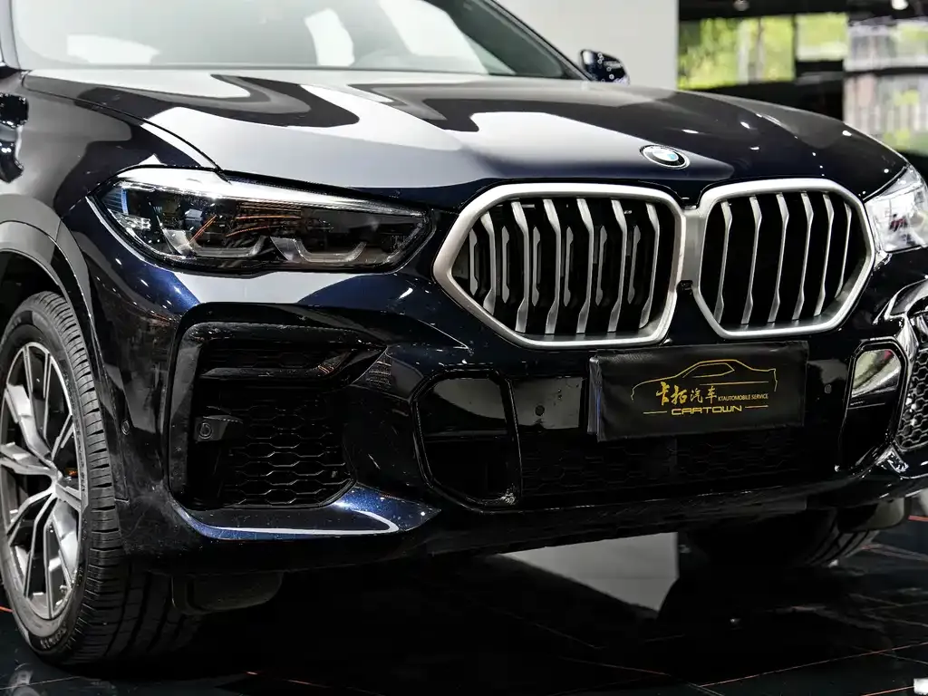 BMW X6 — фото 10