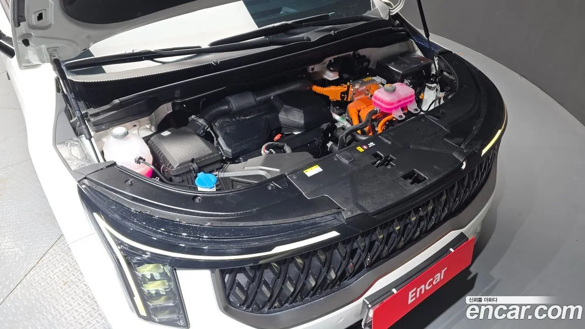 Kia Carnival — фото 10