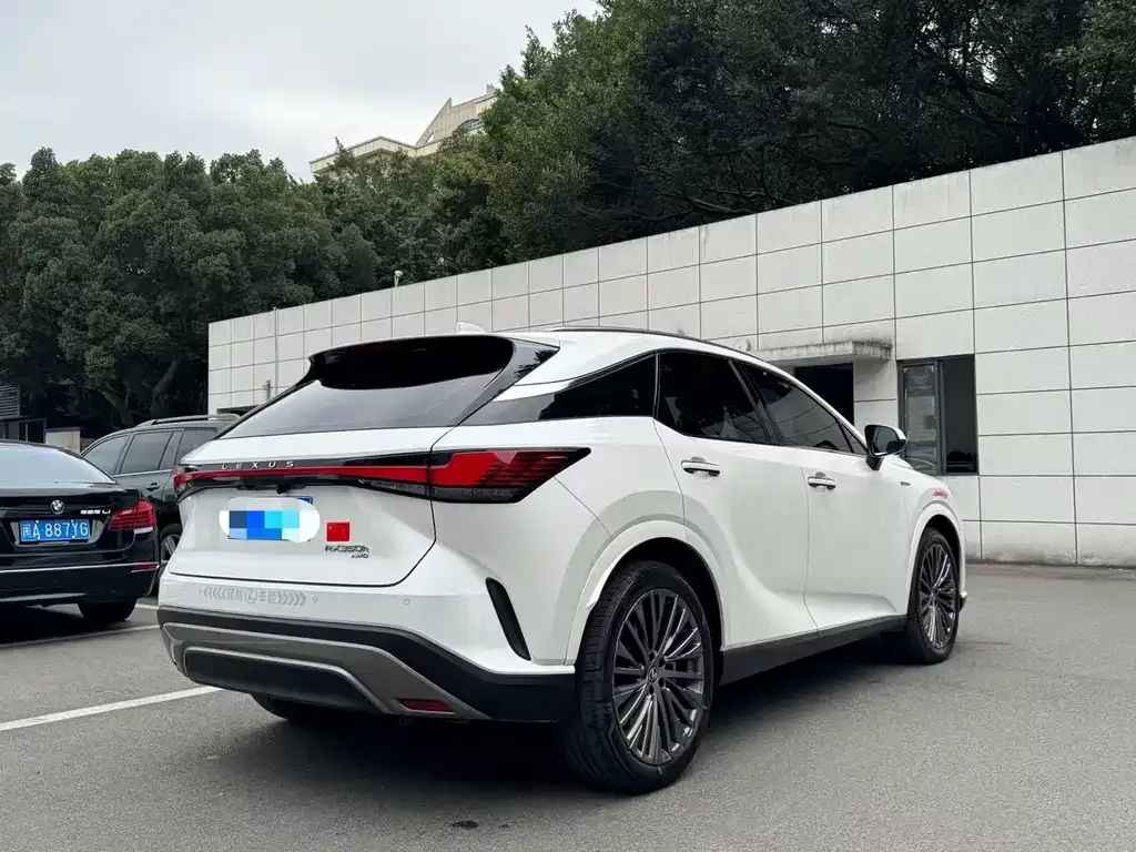 Lexus RX — фото 9