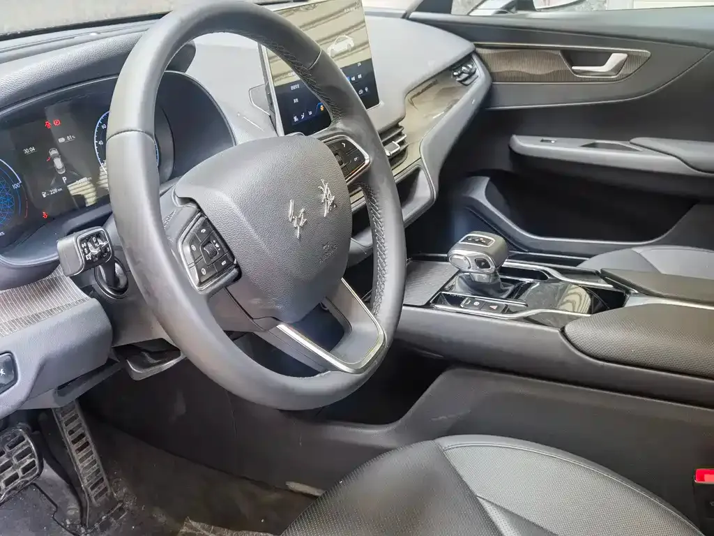 Hongqi E-QM5 — фото 8