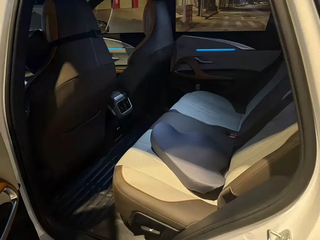 BYD Pro New Energy — фото 4