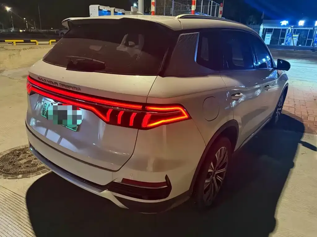 BYD Pro New Energy — фото 2