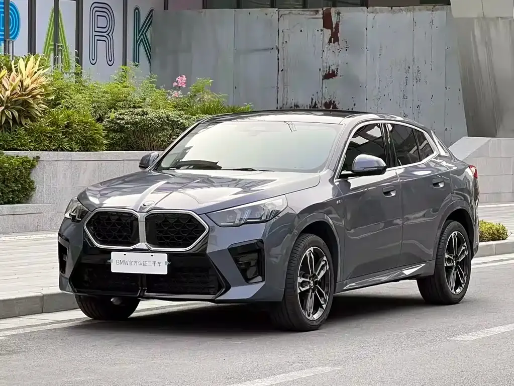 BMW X2 (Import) — фото 1