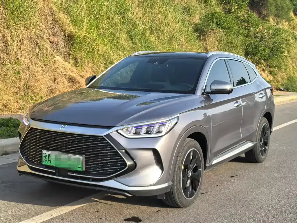 BYD PLUS New Energy — фото 1