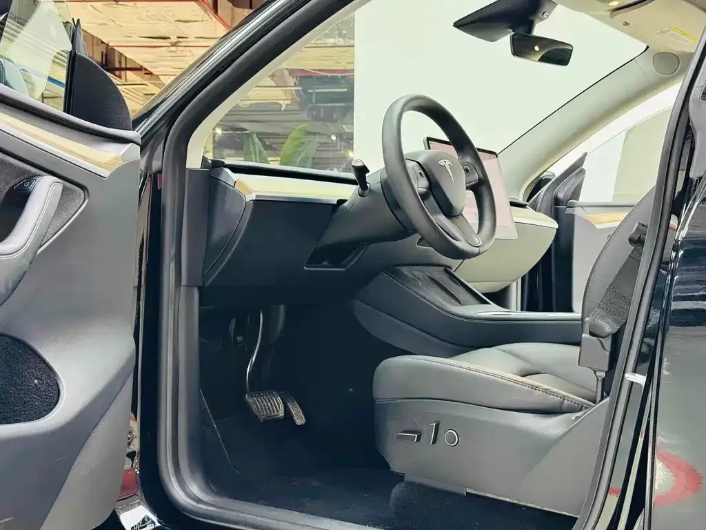 Tesla Model Y — фото 2