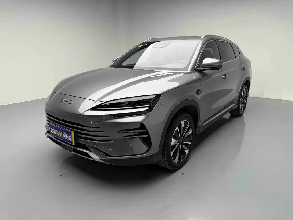 BYD PLUS New Energy — фото 1