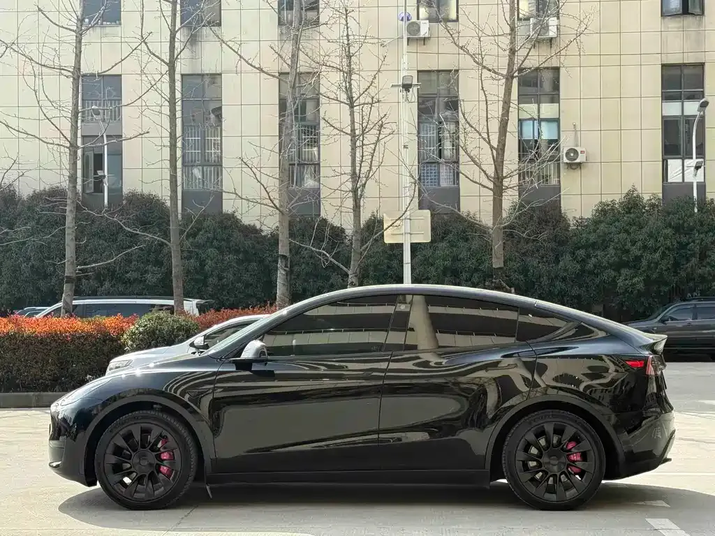 Tesla Model Y — фото 10