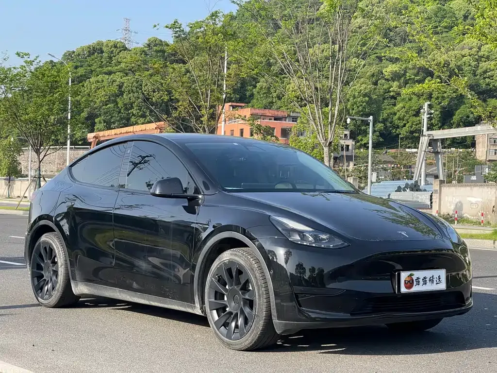 Tesla Model Y — фото 1