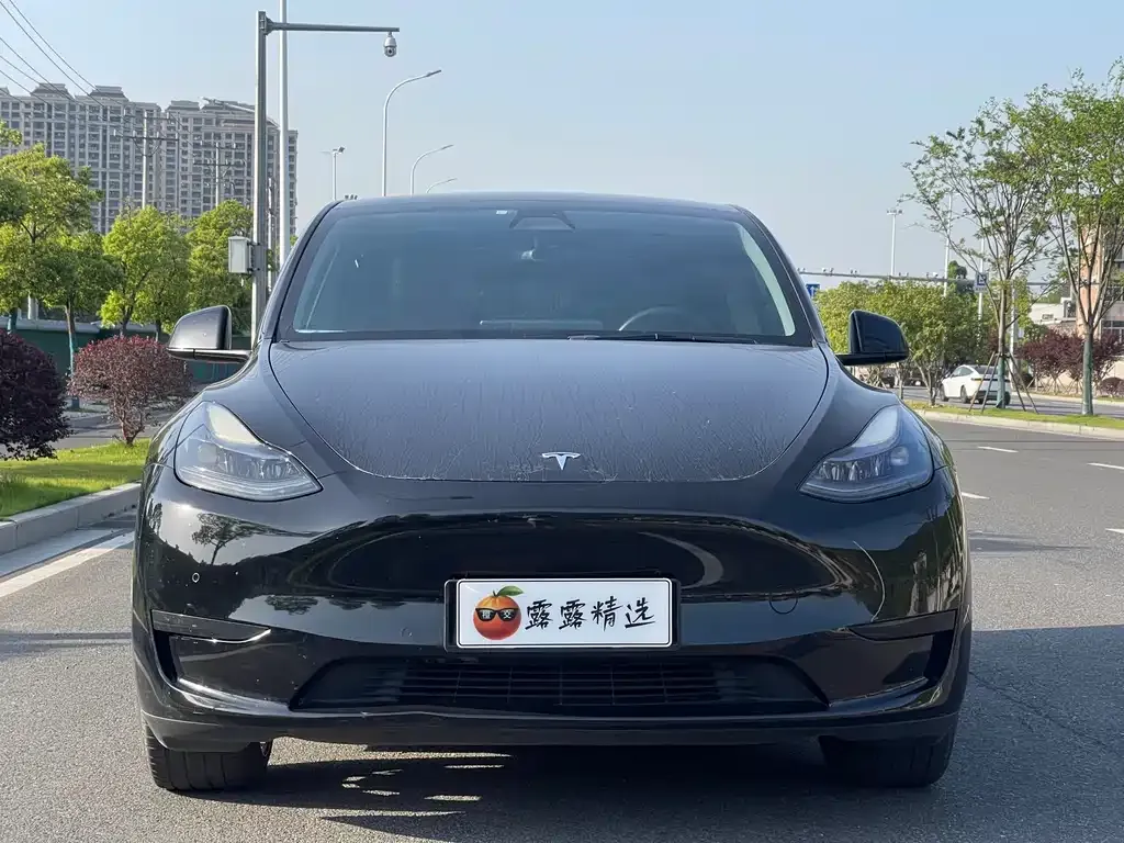 Tesla Model Y — фото 6