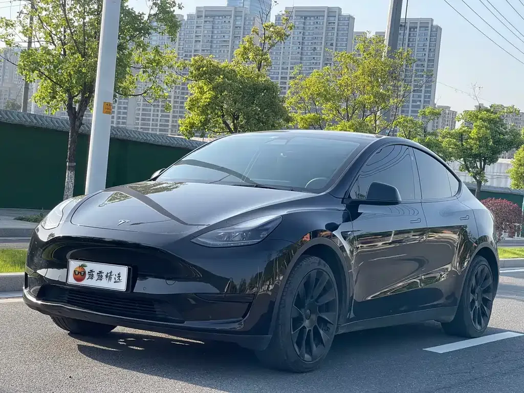 Tesla Model Y — фото 10