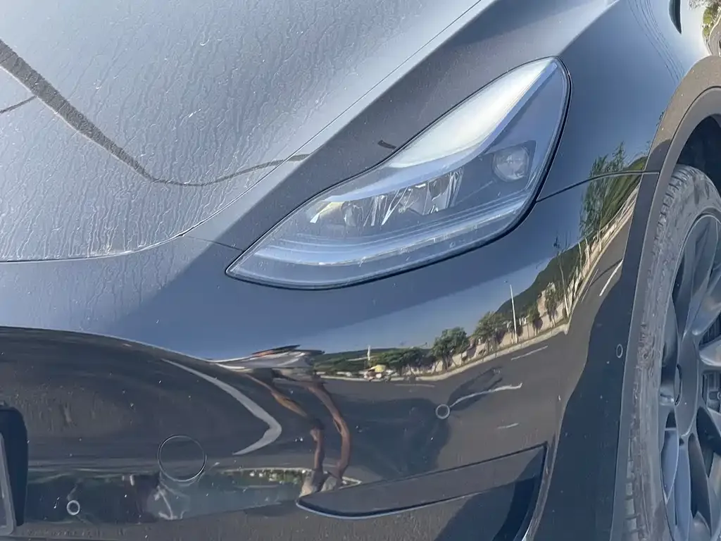 Tesla Model Y — фото 5