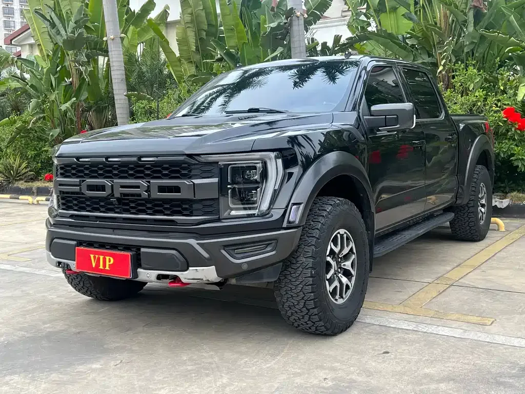 Ford F-150 Raptor — фото 1