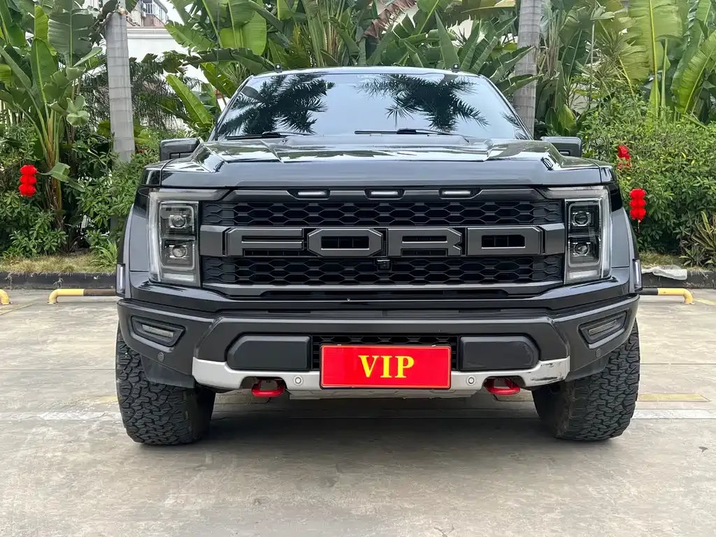 Ford F-150 Raptor — фото 6