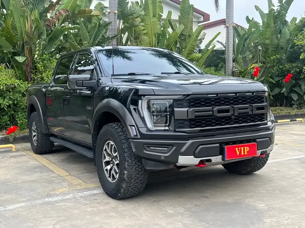 Ford F-150 Raptor — фото 9
