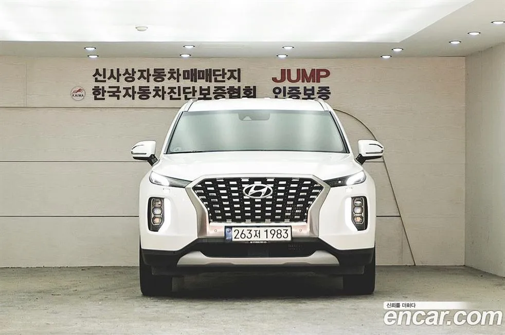 Hyundai Palisade — фото 6