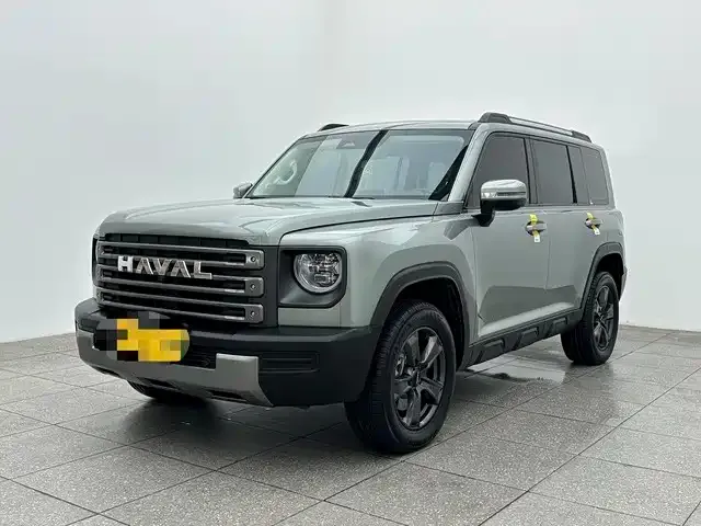 Haval Menglong New Energy — фото 1