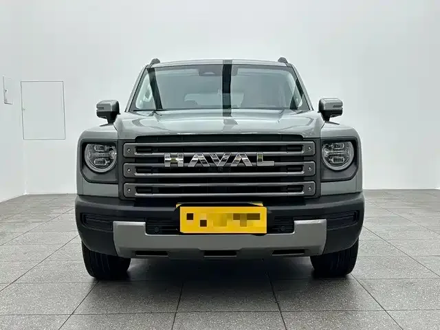 Haval Menglong New Energy — фото 9