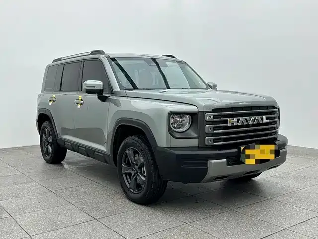 Haval Menglong New Energy — фото 7