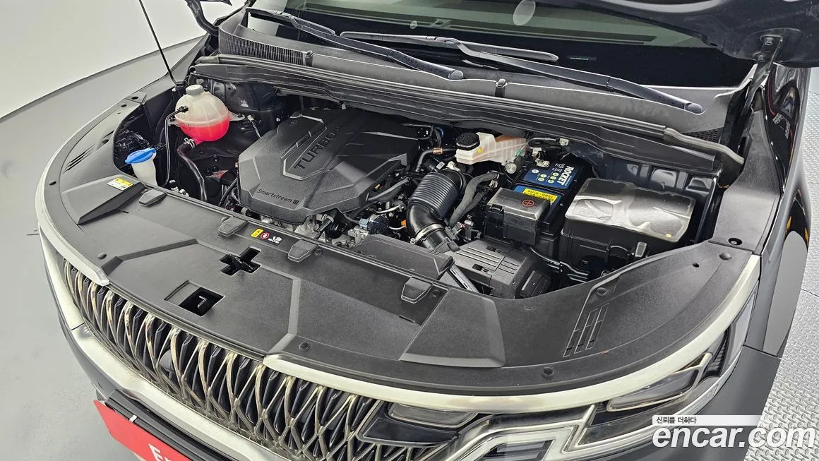 Kia Carnival — фото 10