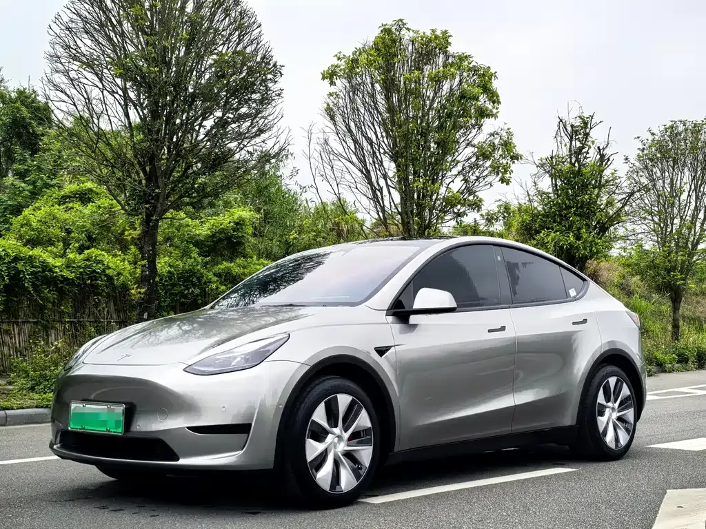 Tesla Model Y — фото 1