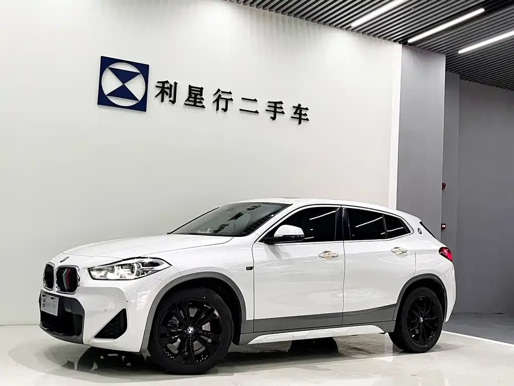 BMW X2 — фото 1