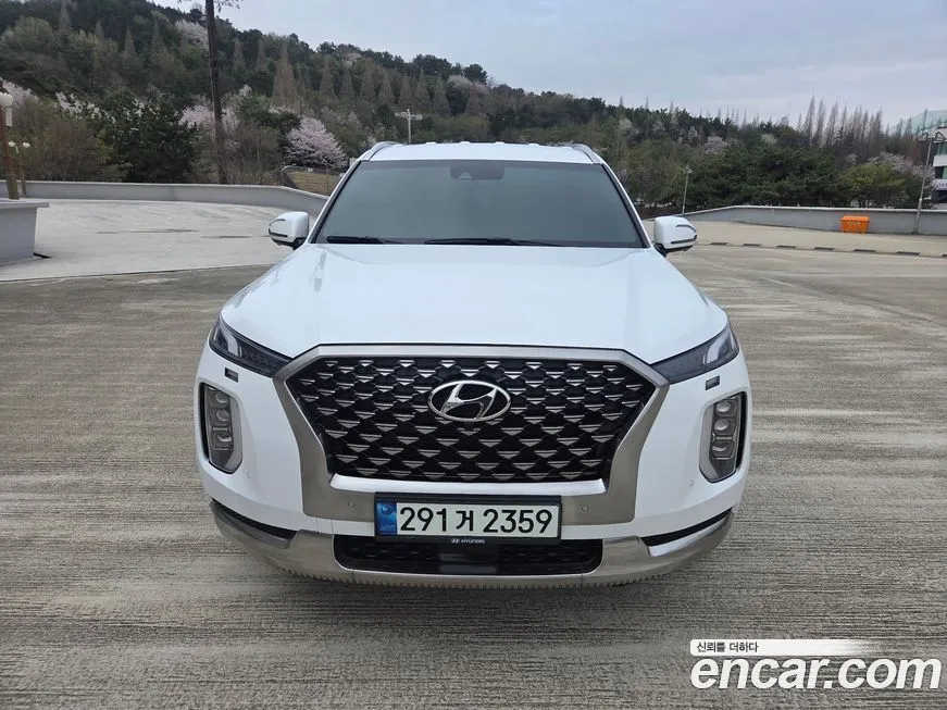 Hyundai Palisade — фото 1