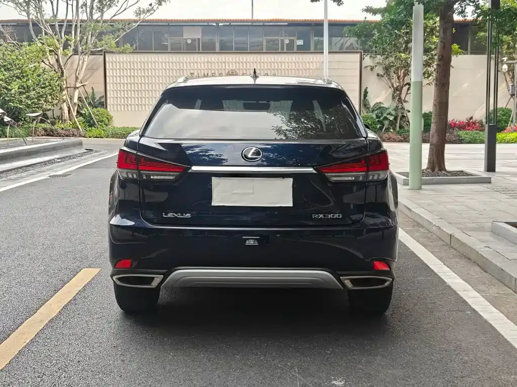 Lexus RX — фото 8
