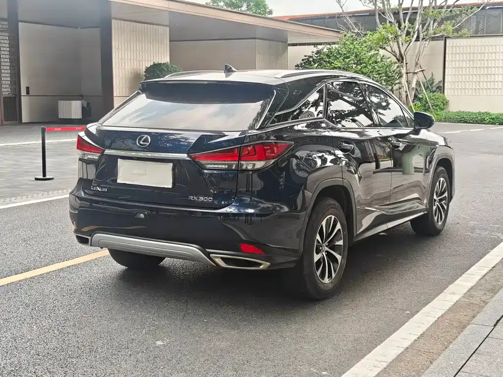 Lexus RX — фото 6