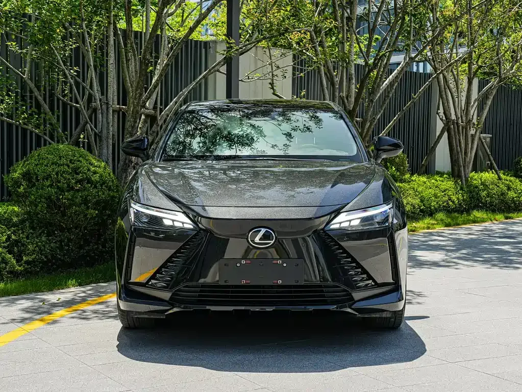 Lexus RZ — фото 6