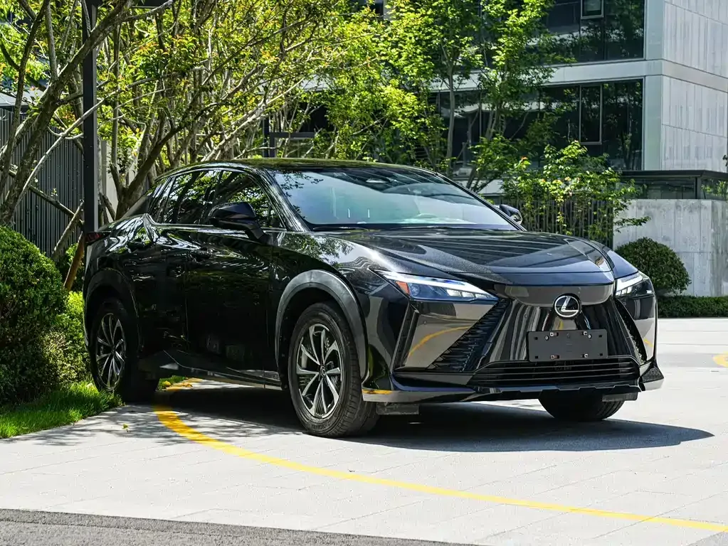 Lexus RZ — фото 10