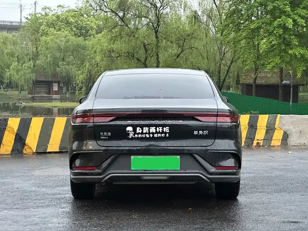 BYD Han — фото 10
