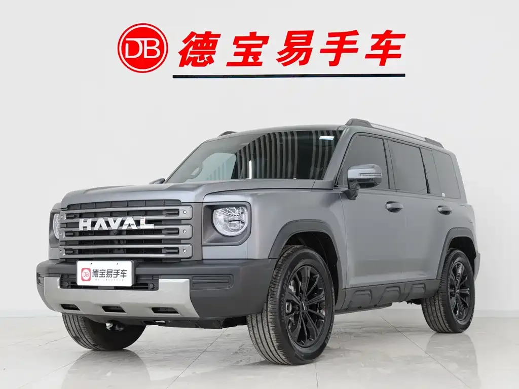 Haval Menglong New Energy — фото 1