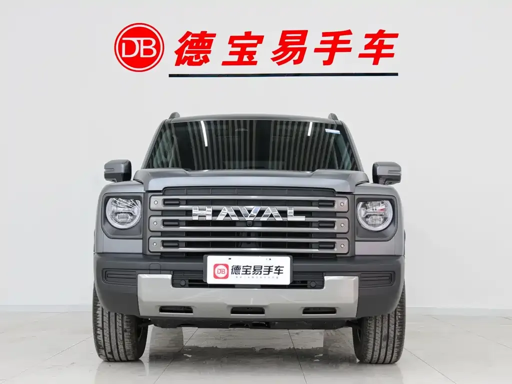 Haval Menglong New Energy — фото 6