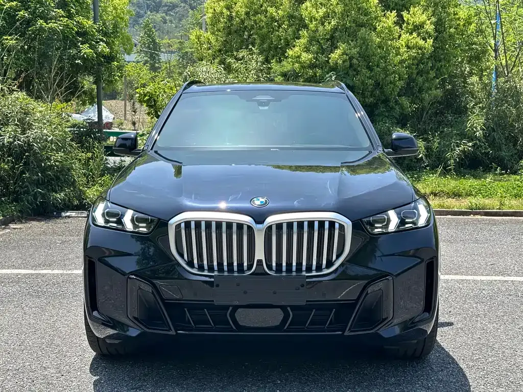 BMW X5 — фото 9