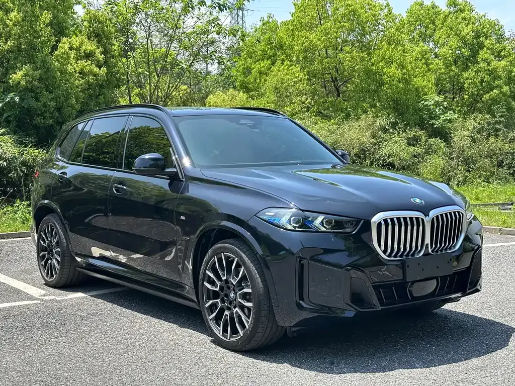 BMW X5 — фото 5
