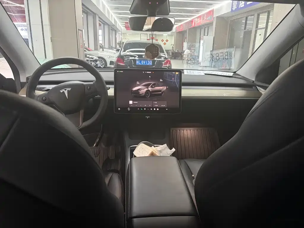 Tesla Model Y — фото 9