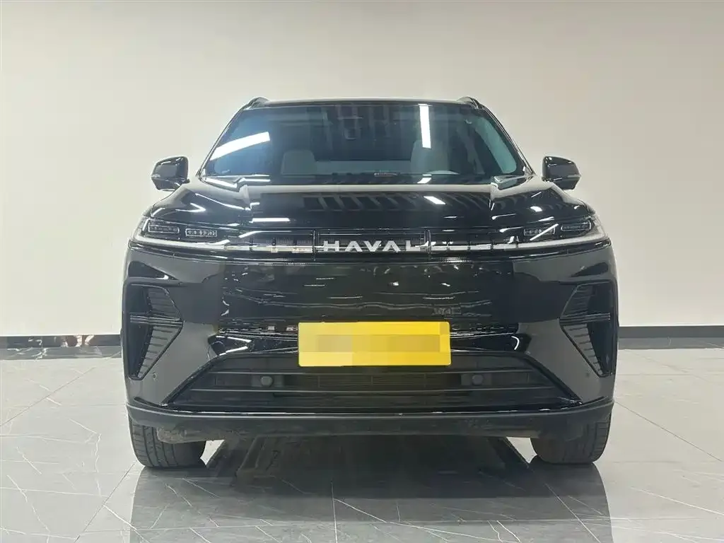 Haval Xiaolong MAX — фото 8