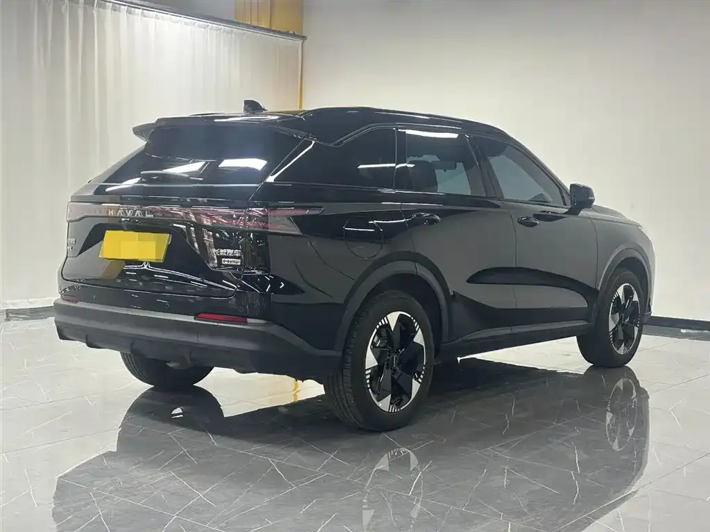 Haval Xiaolong MAX — фото 9