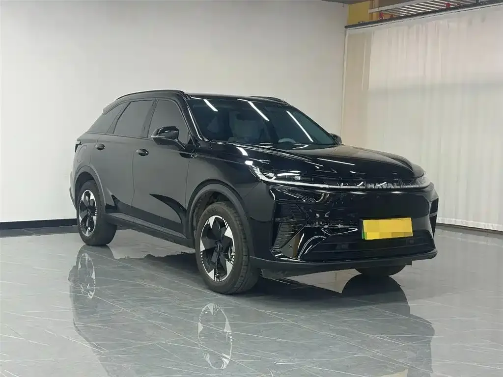 Haval Xiaolong MAX — фото 10