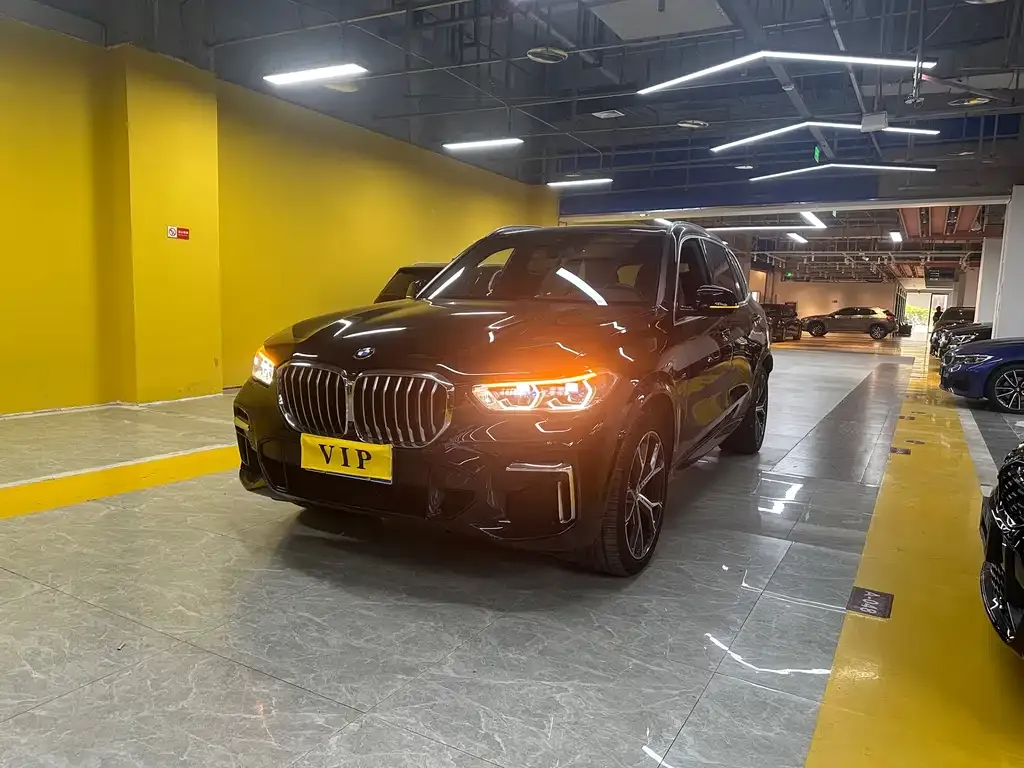 BMW X5 (Import) — фото 1