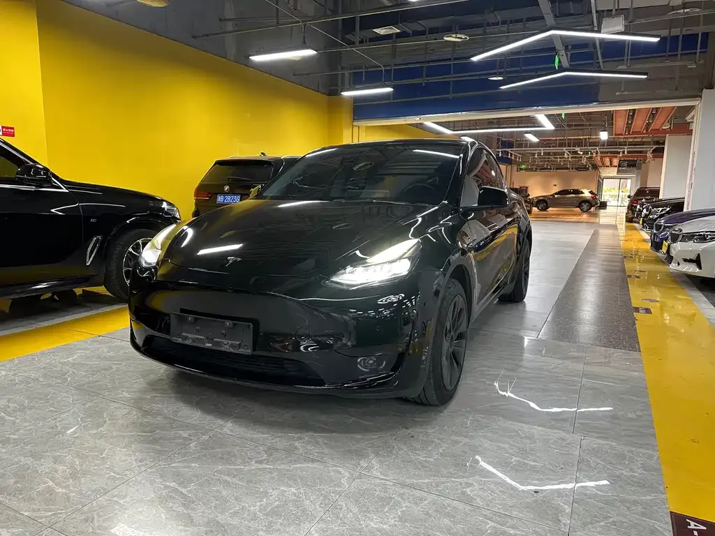 Tesla Model Y — фото 1