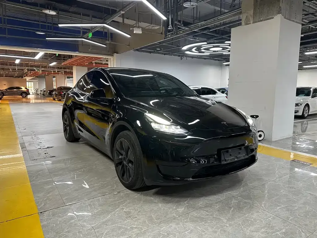 Tesla Model Y — фото 9