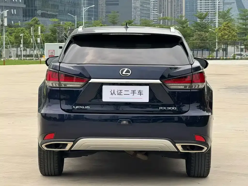 Lexus RX — фото 7
